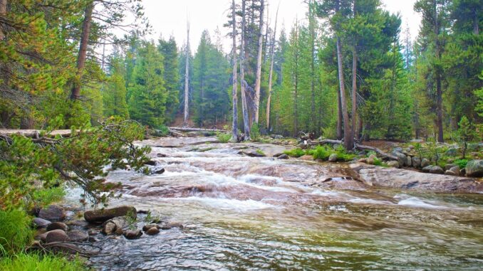 yosemite-river_2384